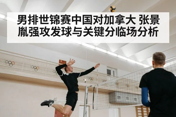 volleyball player spiking